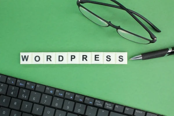 seo-slug-wordpress